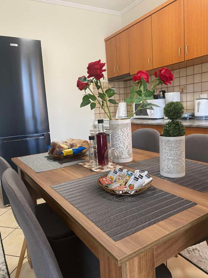 Bakopoulos Resort.Ενα Όμορφο Διαμέρισμα Με Τζάκι 特里卡拉 外观 照片